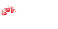 carlton landscapes logo